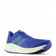 New Balance Fresh Foam X Vongo V5 Голубой
